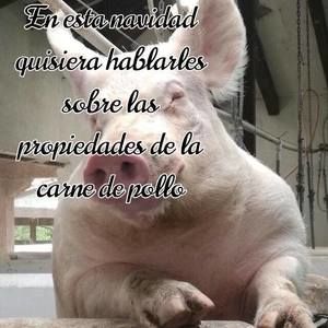 Meet your Posher, Carlos